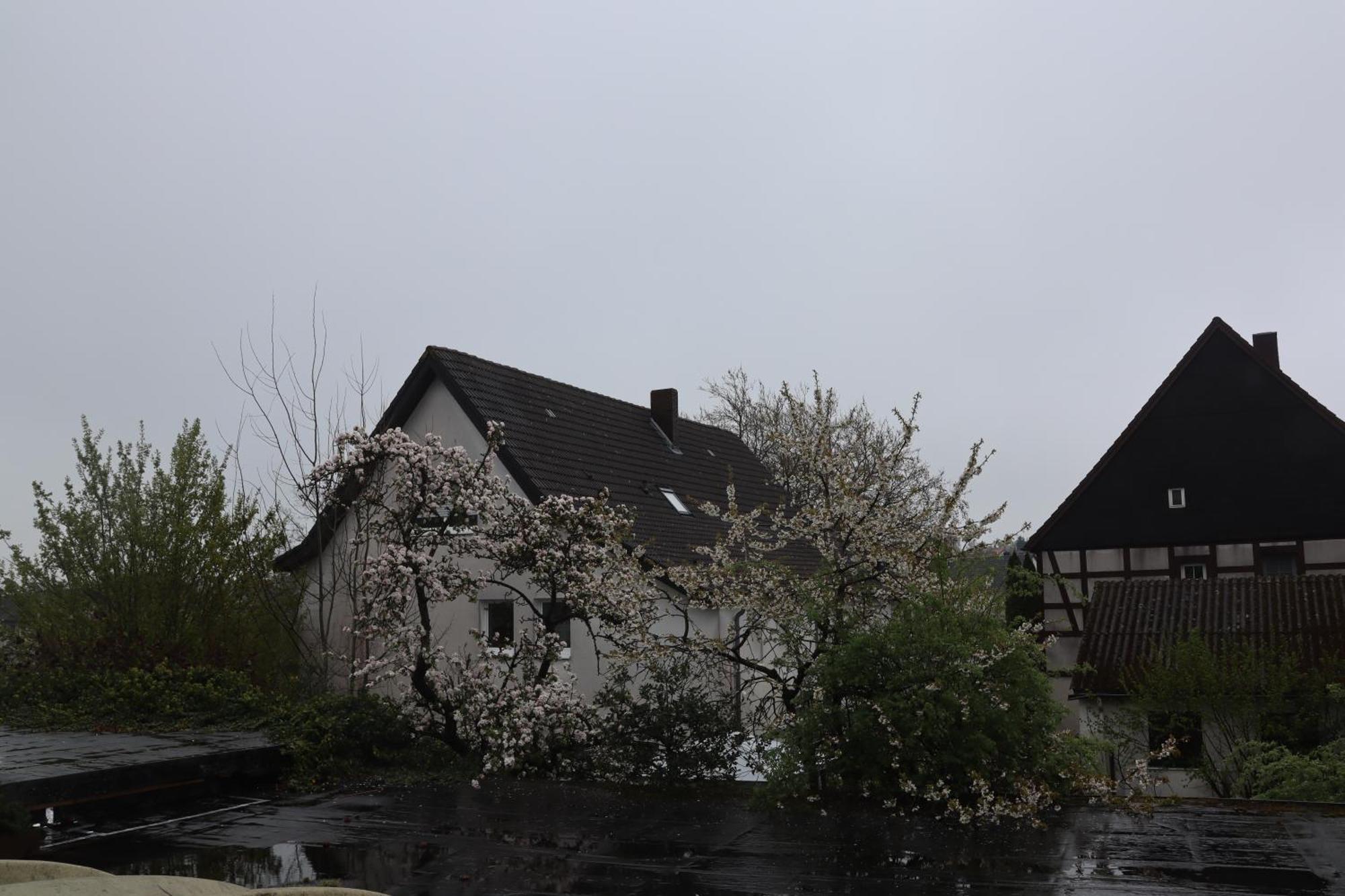 Hotel Haarener Hof Bad Wünnenberg 外观 照片